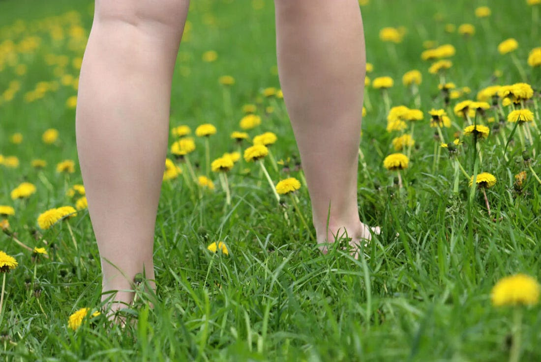 Naturist village condemned by Bordeaux court for having too many people Source: Connexion France, February 26, 2025